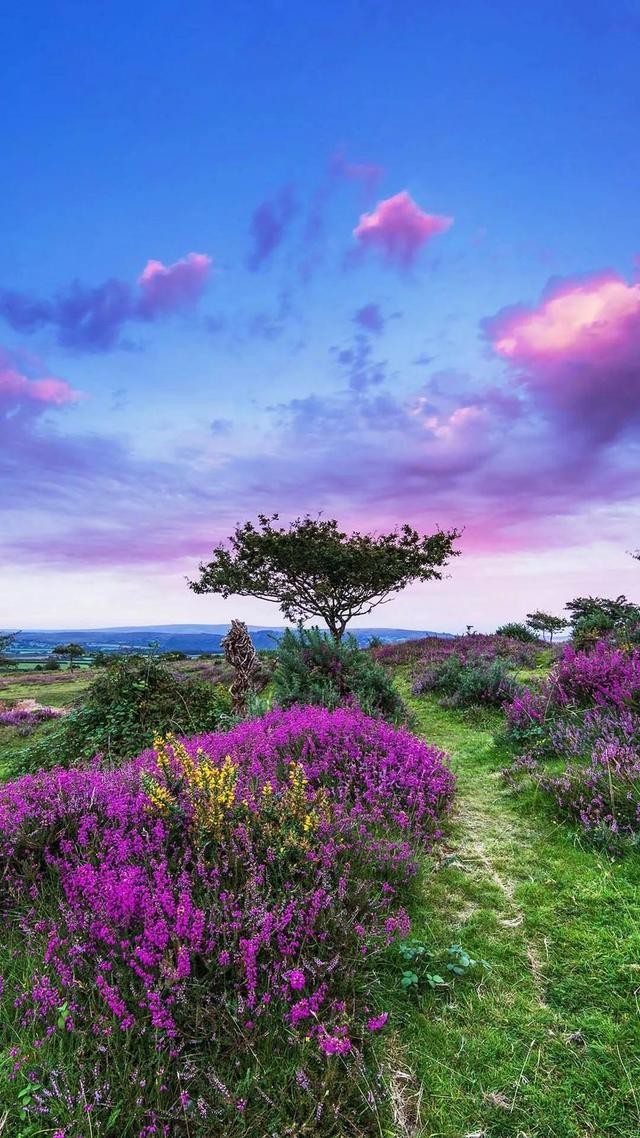 全世界十大自然景观（80幅世界各地景观）(80)