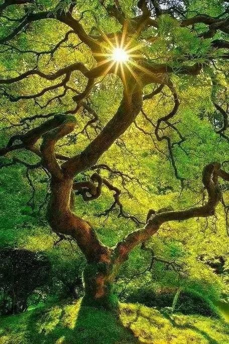 全世界十大自然景观（80幅世界各地景观）(10)