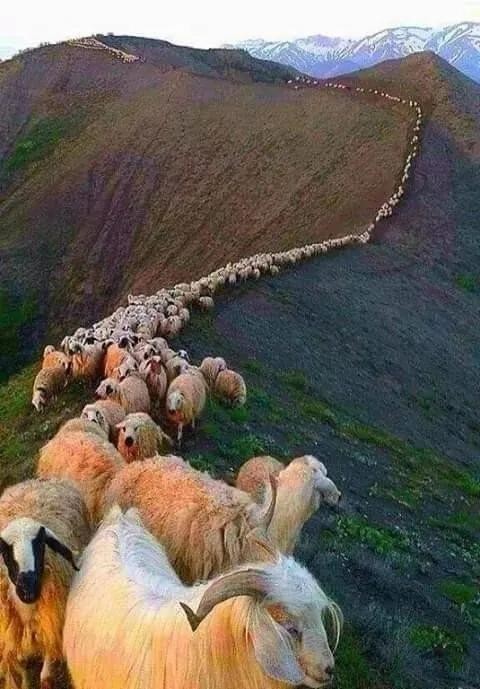 全世界十大自然景观（80幅世界各地景观）(27)