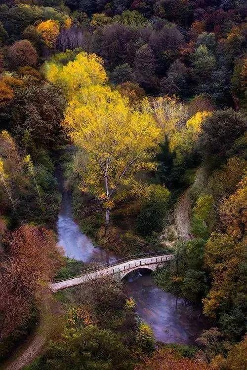 全世界十大自然景观（80幅世界各地景观）(41)