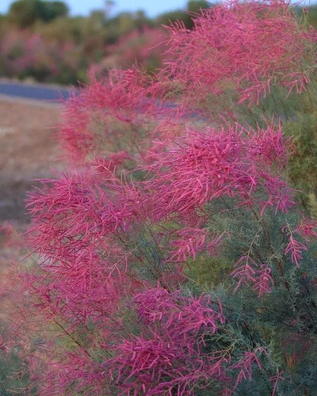 全世界十大自然景观（80幅世界各地景观）(5)