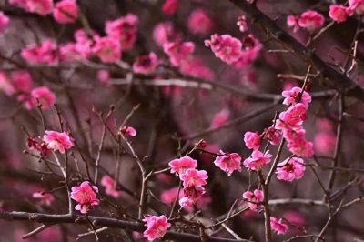 ​当前经济形势分析展望