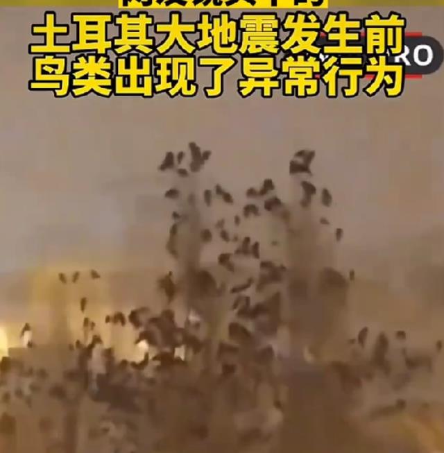 土耳其地震之前已有预兆？回溯1976年唐山7.8级强震前的诡异现象