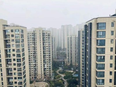 ​杭州主城区也下雪了？三墩、半山读者纷纷发来图和视频：有阵子还挺大