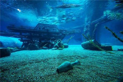 ​大海最深有10万米吗 大海深处有哪些没有为人知的景色