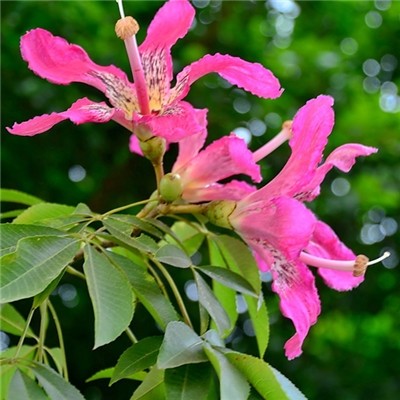 有意境有气质的微信风景头像