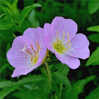 有意境有气质的微信风景头像