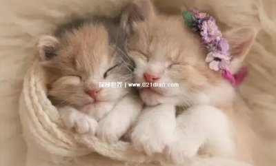 ​如何忘掉恐怖事物，4种方法(转移注意力或者以毒攻毒最有效)