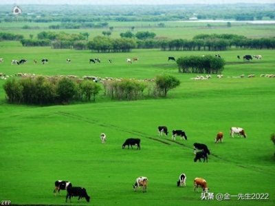 ​所有的投资都有风险