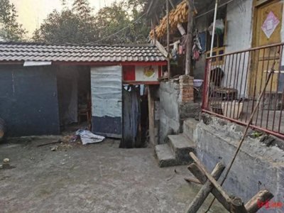 ​夫妻均无生命危险！58岁丈夫讲述杀熊救妻惊险过程……多地正开展防熊实验