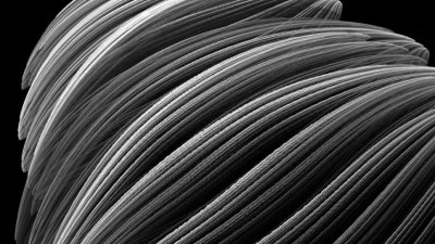 ​环洋市场咨询：2021-2026全球冷拔丝市场现状及未来发展趋势